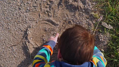 Top-view-shot-of-caucasian-kid-playing-and-drawing-with-soil-on-the-ground-outdoors-on-a-sunny-day