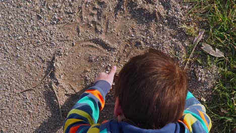 vista superior de un niño caucásico jugando y dibujando con tierra en el suelo al aire libre en un día soleado