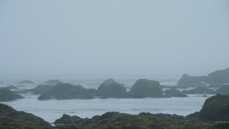 Wellen-Spülen-An-Der-Felsigen-Küste-An-Der-Nebligen-Olympic-Coast-In-Washington,-PNW