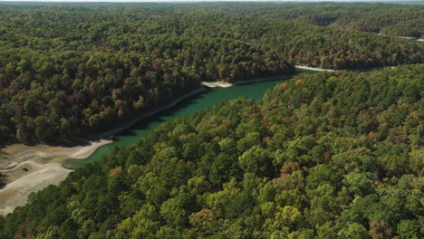 aerial view of lush green trees in the forest with river in summer