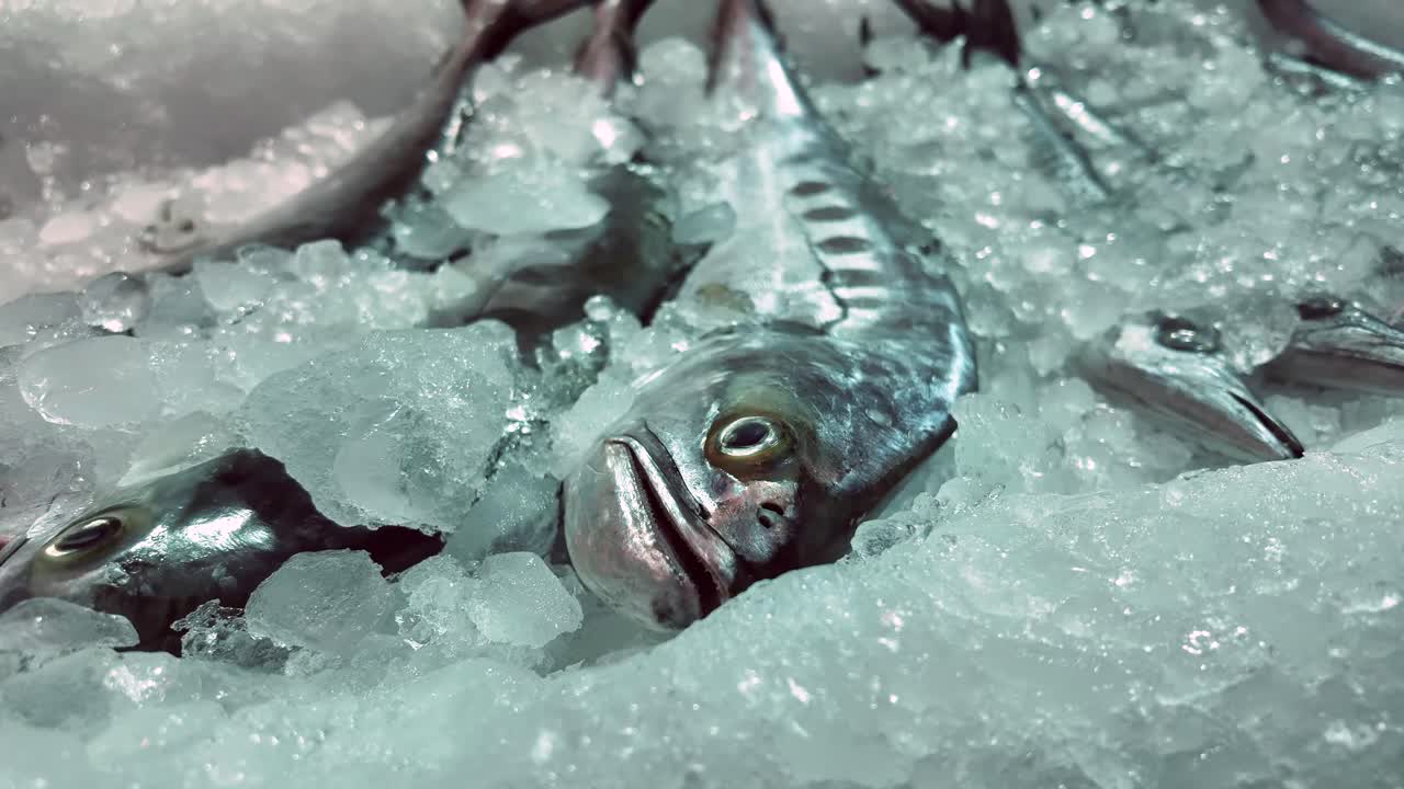 얼음 위의 신선한 생선