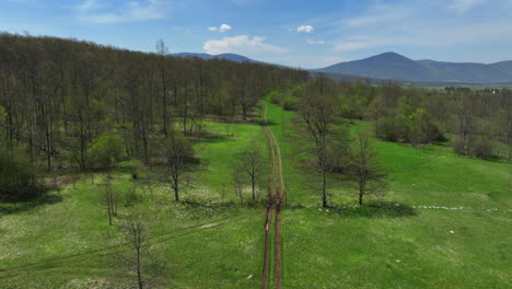 Low flight over a mountain plateau overgrown with grass and sparse forest in early spring with mountain peaks in the background and a blue sky