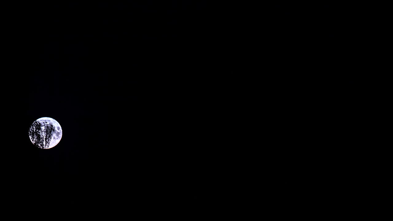 暗い空に昇る満月のタイムラプス