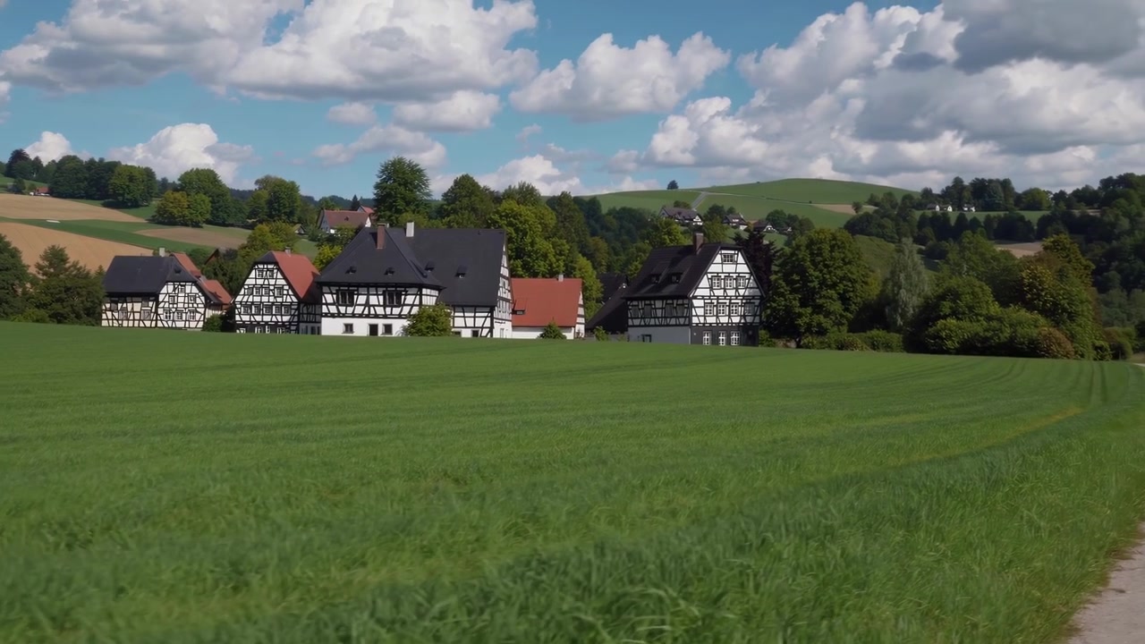 Traditionelle tyske bindingsværkshuse i et grønt landskab