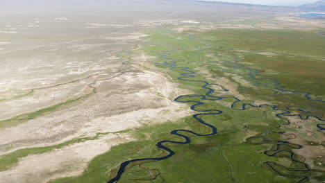 Sinuoso-Río-Owens-A-Través-De-Exuberantes-Campos-Verdes-Y-Paisajes-áridos-En-El-Desfiladero-Del-Río-Owens,-Vista-Aérea