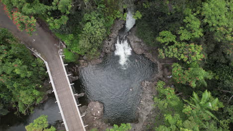 Antena-Descendente-De-Arriba-Hacia-Abajo-Del-Idílico-Lago-Con-Un-Habitante-Local-Nadador-Rodeado-Por-La-Jungla-Verde-De-Hawaii