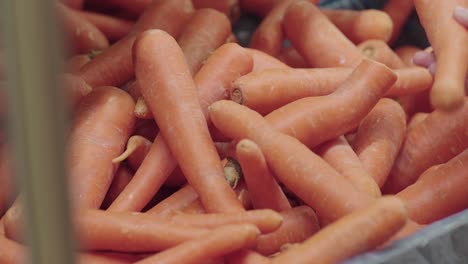 recogiendo una zanahoria de una pica de zanahorias