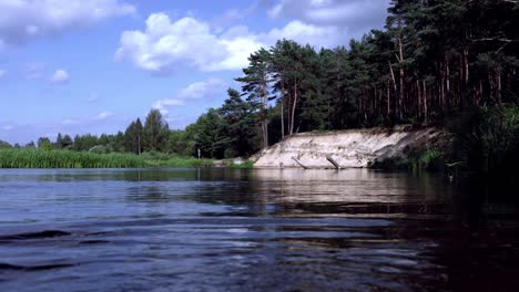 beautiful landscape with pine forest growing on sandy cliff near lake