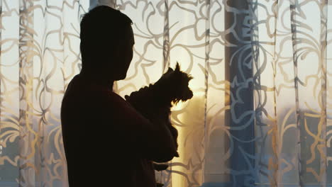 Silhouette-Of-A-Man-With-A-Dog-In-Her-Arms-Standing-At-The-Window-At-Sunset-Stroking-Yorkshire-Terri