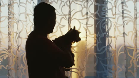 silhouette of a man with a dog in her arms standing at the window at sunset stroking yorkshire terri