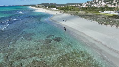 A-cinematic-aerial-view-of-a-Horse-at-Son-Bou-Beach-with-buildings-in-the-background-in-Menorca,-Spain