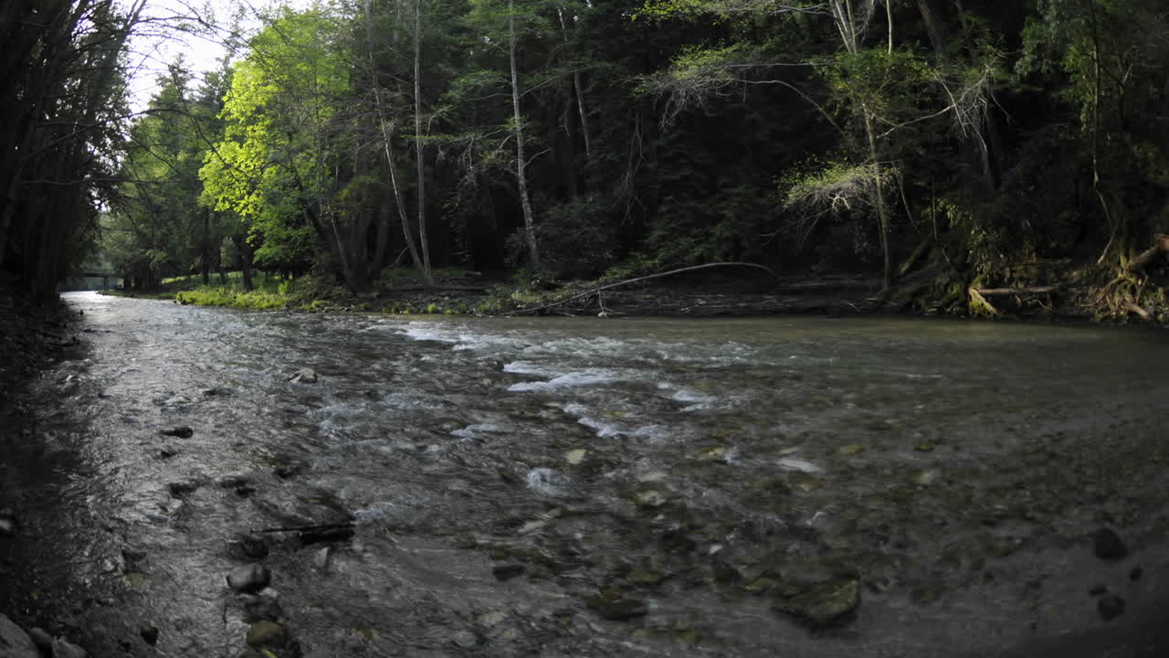 빅수르 캘리포니아의 봄 동안 빅수르 강 위로 떠오르는 태양의 시간 경과