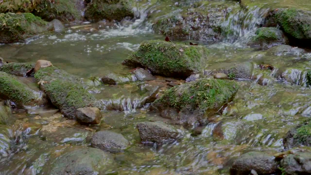 Langsom dolly-optagelse af roligt strømmende vandløb i bjergene, slowmotion
