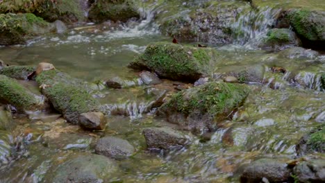 Slow-dolly-shot-of-tranquil-flowing-water-stream-in-mountain,slow-motion