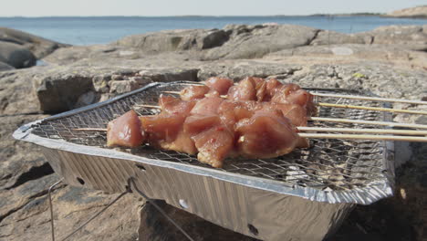 brochetas con pollo cocinado en una parrilla desechable en los acantilados junto al mar