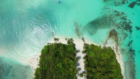hermosa isla de maldivas con bosque de palmeras en las aguas cristalinas de color turquesa del océano índico