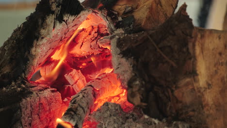 glowing embers and flames within a charred wood log, exhibiting the natural process of combustion