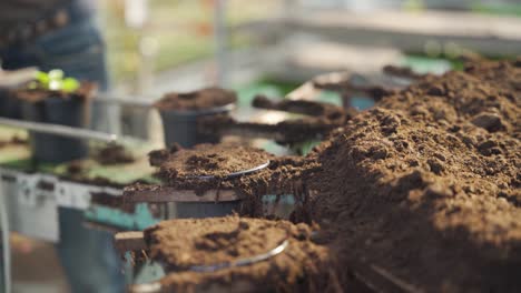 máquina de macetas que trabaja distribuyendo macetas de suciedad a un horticultor que pone semillas en las macetas
