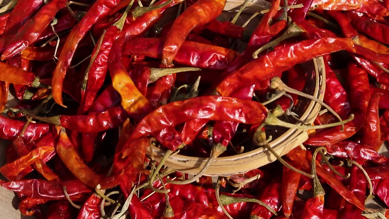 낮에 평평한 각도에서 많은 붉은 고추