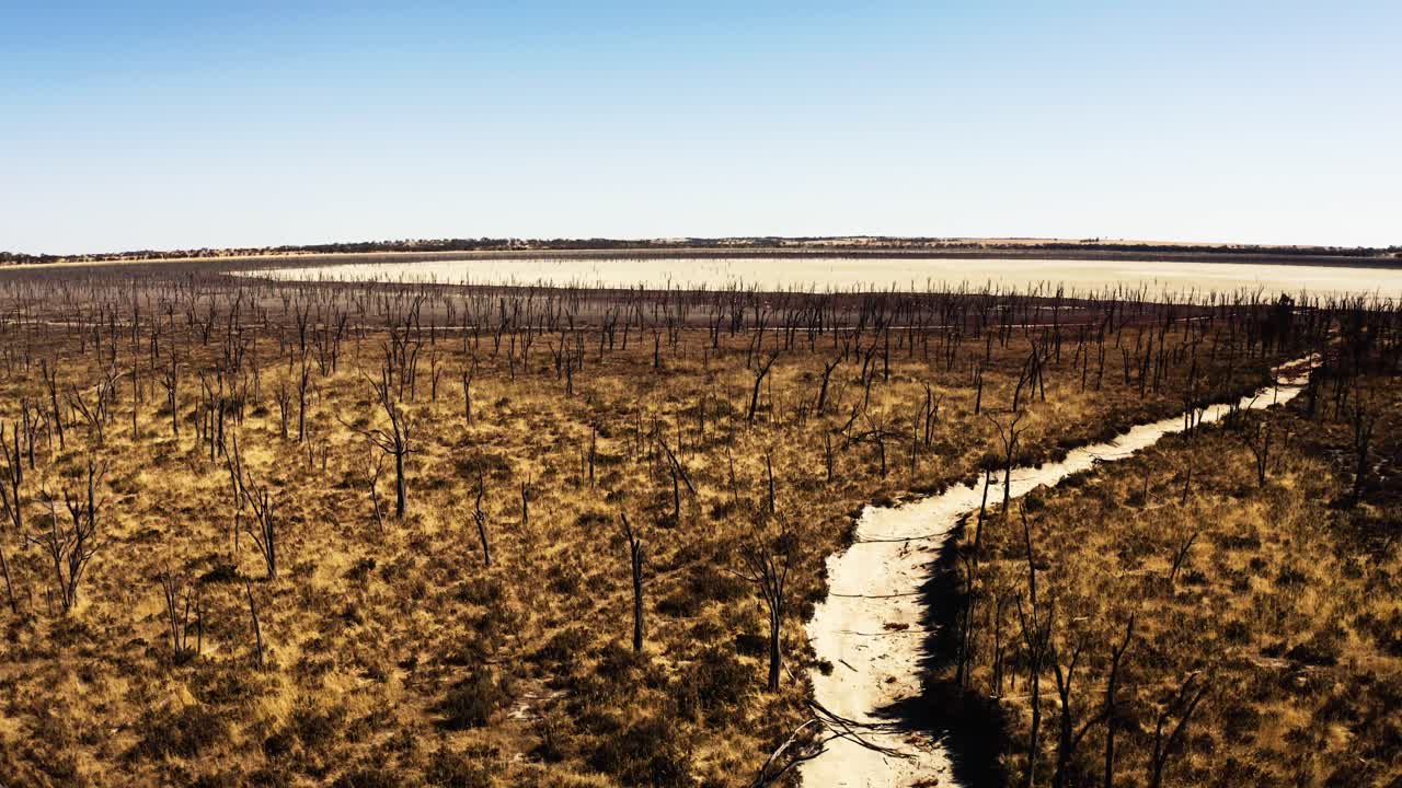 Drone push shot at low altitude following a dry creek though dead trees towards a dry salt lake in Western Australia