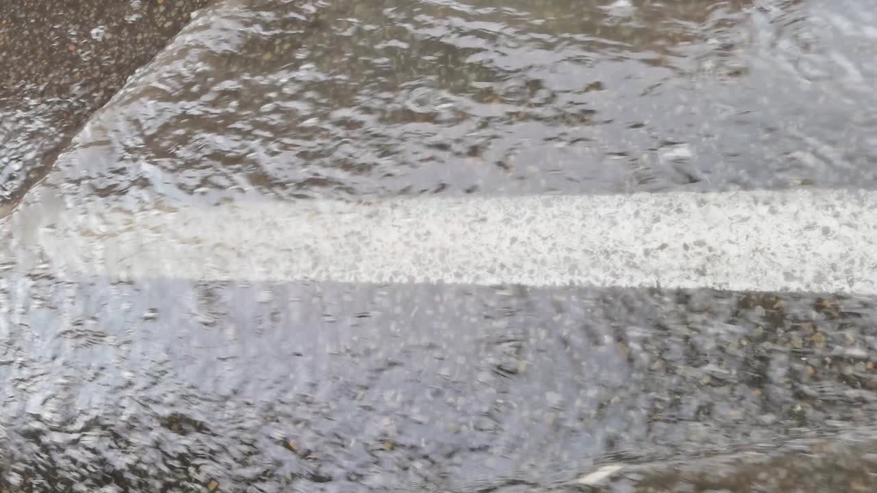 도시 비. 큰 웅이. 오드사이드 뷰. 가을 위험. 자동차 은 여행