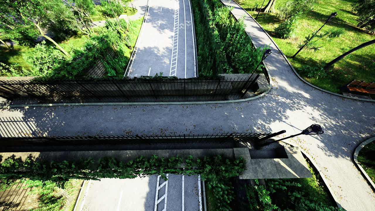 Elevated view of a pathway surrounded by lush greenery in a tranquil park