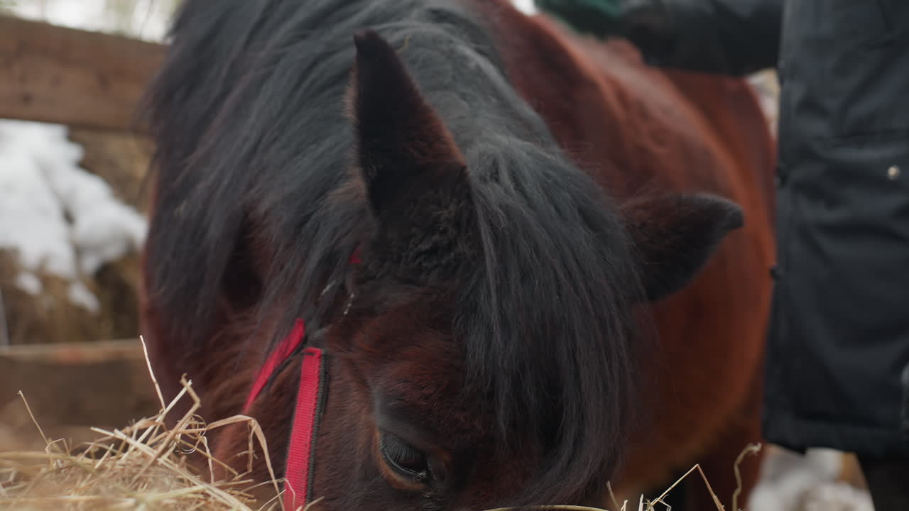 variaciones reformuladas creadas, cinco reescrituras de oraciones únicas creadas, diez oraciones parafraseadas distintas que mantienen el significado original, quince oraciones totalmente diferentes que transmiten el mismo mensaje central