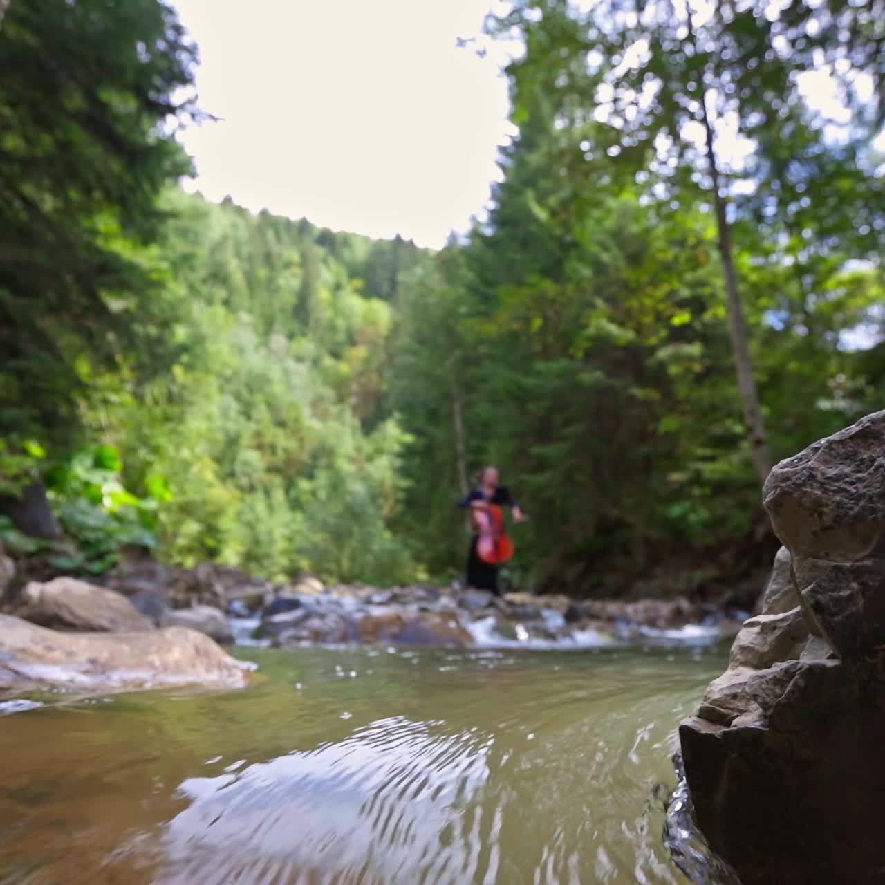 Female cellist at the river. Woman playing the cello on green trees background. Fresh mountain water flowing among stones.