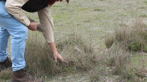 un bosquimano de primer plano recoge hierba del desierto en el interior de australia