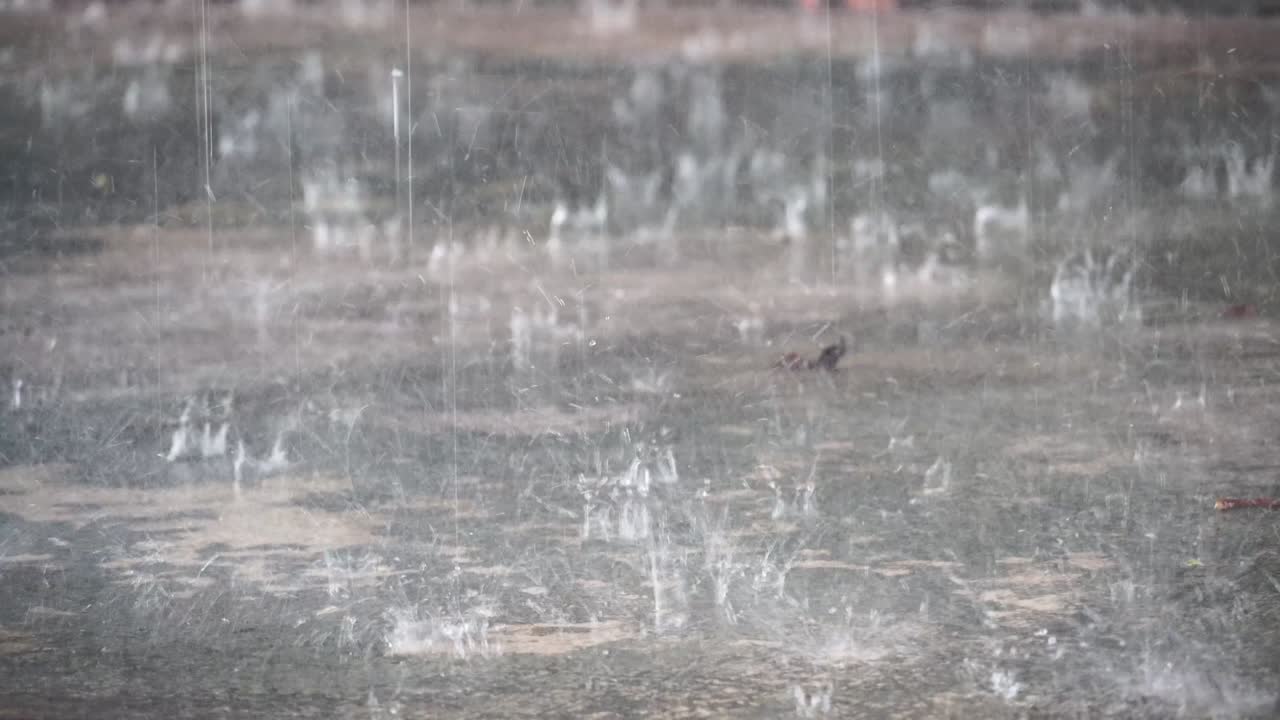 무거운 비방울이 시멘트 바닥에 떨어졌습니다.