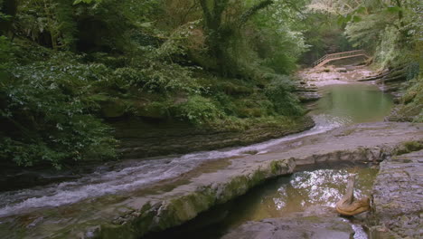 tranquil mountain stream with wooden footbridge