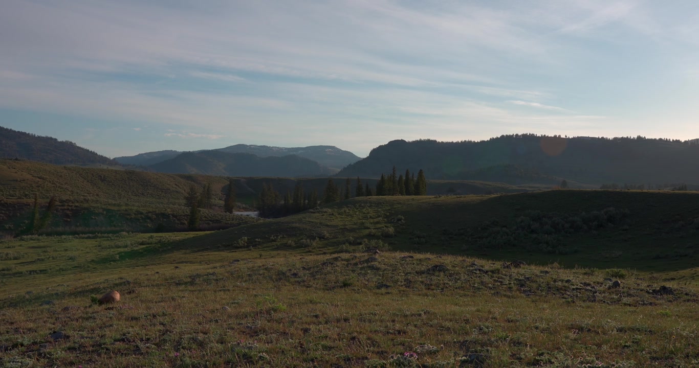 Inquadratura fissa grandangolare che si affaccia sulla Lamar Valley nel Parco Nazionale di Yellowstone, con un bagliore naturale dell'obiettivo che entra da destra e aggiunge una qualità cinematografica al vasto paesaggio selvaggio