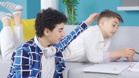 two brothers who get along well with each other study.