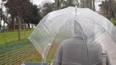 a person walking in a park with a transparent umbrella on a rainy day