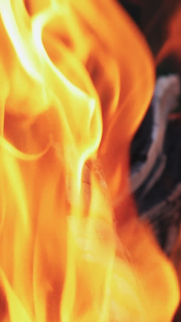 Burning wood, campfire macro video. Hot fireplace full of wood. Slow motion Vertical video