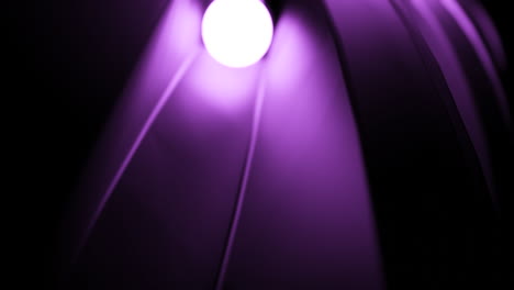 purple lamp shade detail