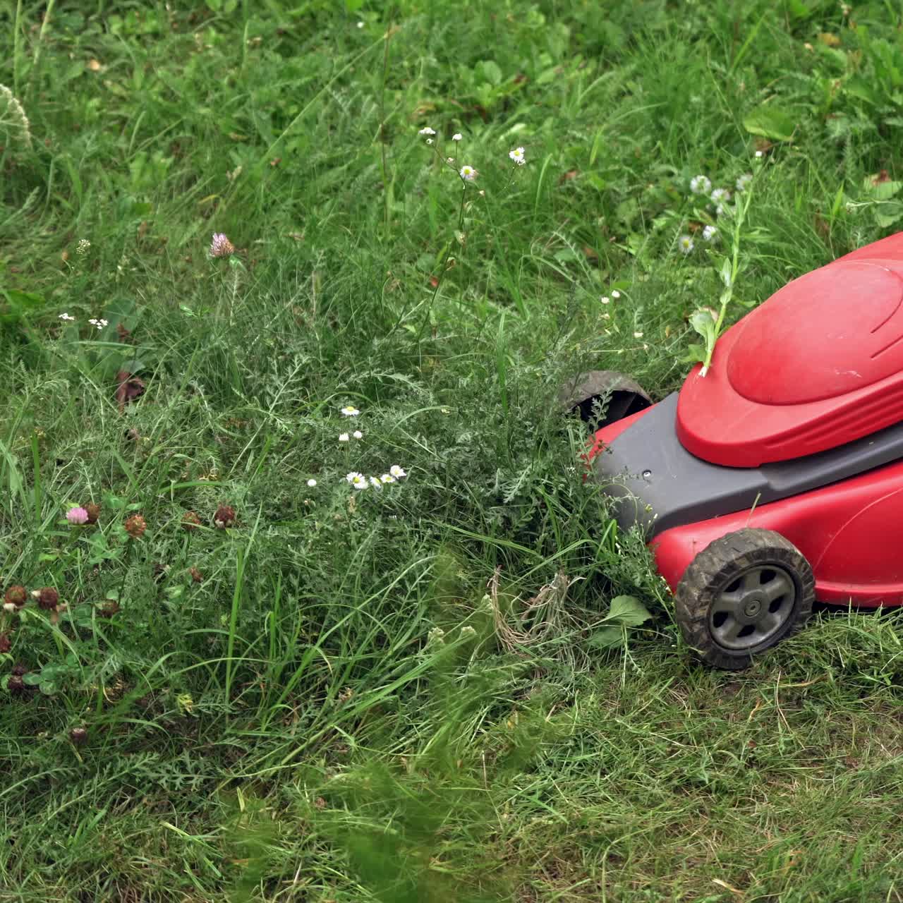Summer works in garden