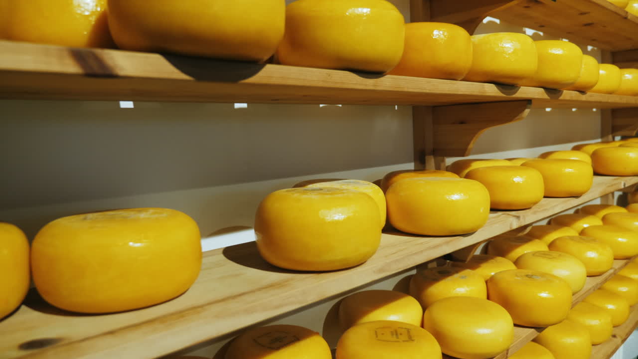 ruedas de queso holandés