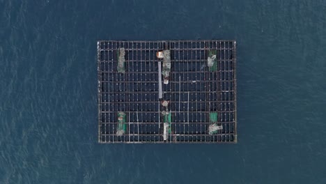 Mussel-cultivation-batea,-rising-drone-shot,-closeup