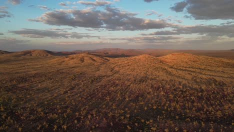 Cinematic-drone-shot-showing-Australian-desert-with-mountains-and-plants-during-sunset-time---Panoramic-view-from-above