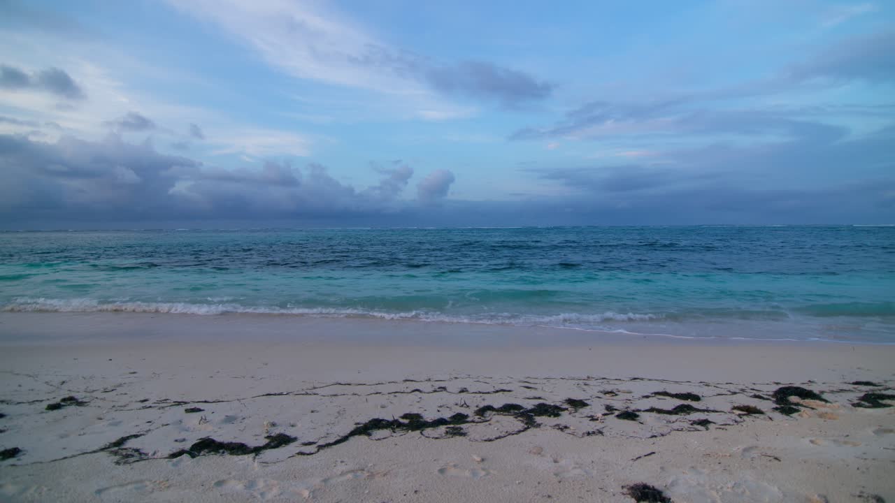 fotografía amplia del azul océano caribe chocando suavemente en la playa de arena blanca, algas esparcidas a lo largo de la orilla