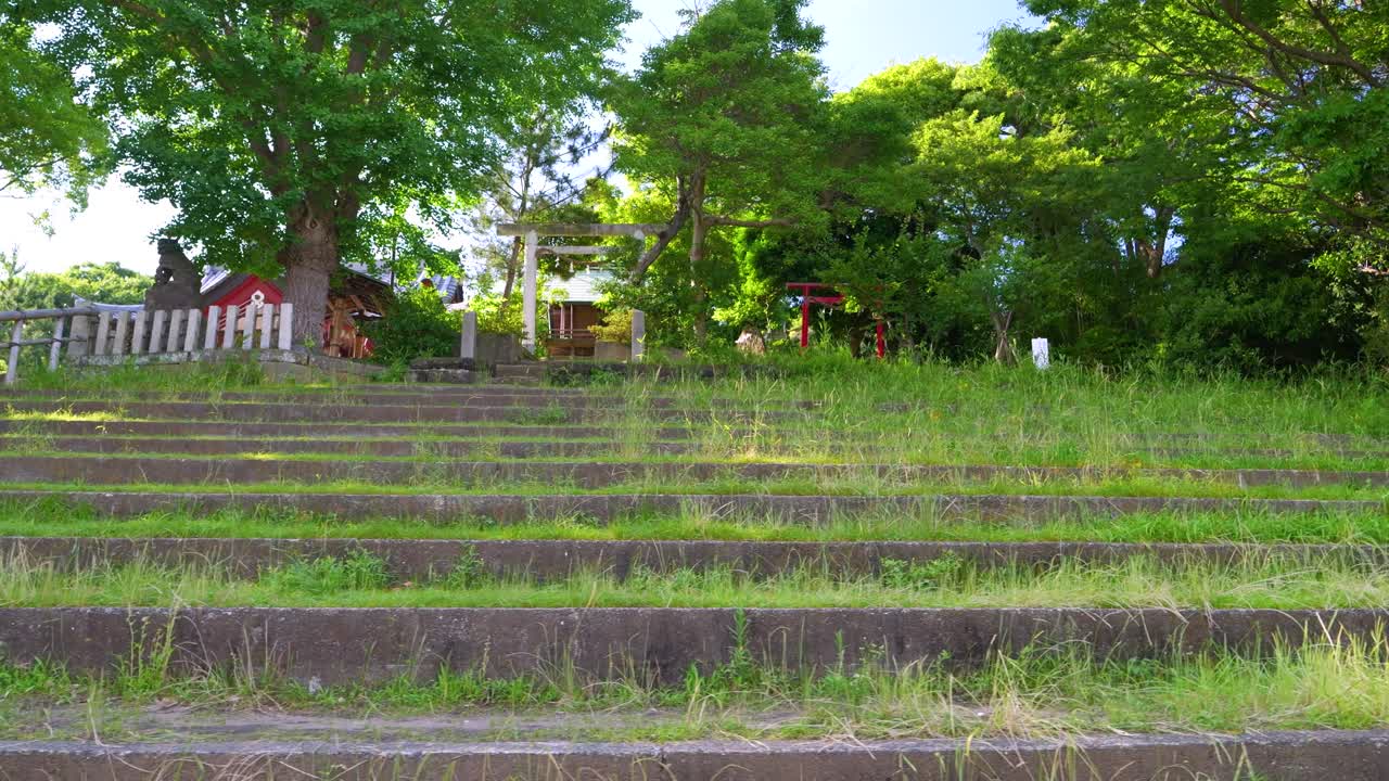 Overgrown Stone Steps Leading to a Serene Japanese Shrine