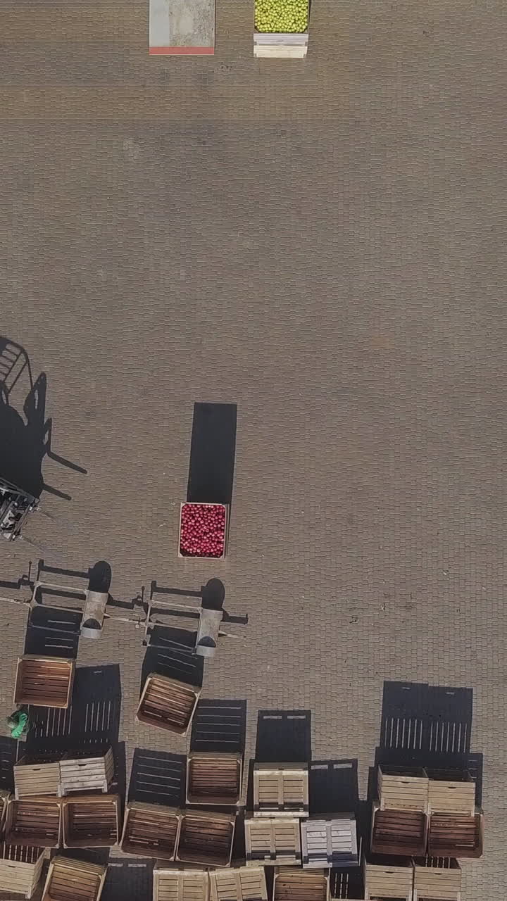 Forklift loading truck with containers full of apples. Fruits and food distribution to the large warehouse. Aerial view Vertical video