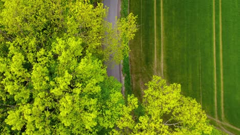 stunning aerial 4k drone footage of women cycling in scenic landscapes