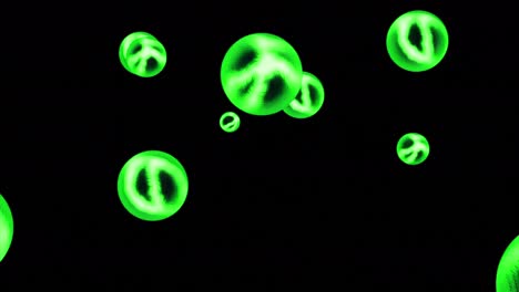 abstractas esferas brillantes transparentes coloridas que giran aisladas sobre un fondo negro, bucle sin costuras. diseño. figuras redondas brillantes de neón que giran sin fin