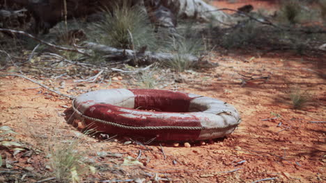 life ring buoy in desert beach