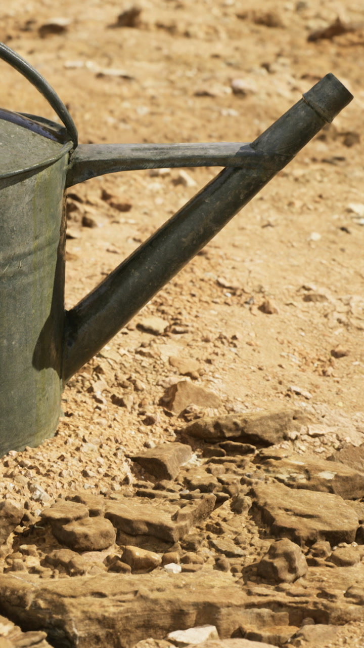 Rustic watering can rests on dry cracked earth under bright sunlight