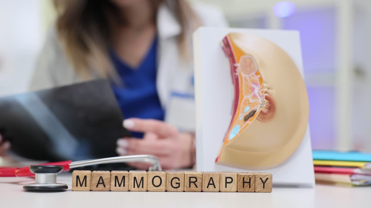 Parola "mammografia" su blocchi di legno e un modello anatomico.