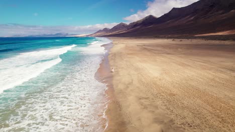 flyover of caucasian woman in white flowing dress as she strolls through the remote and beautiful cofete beach in fuerteventura with golden sands stretching to rugged mountains by aerial drone 4k