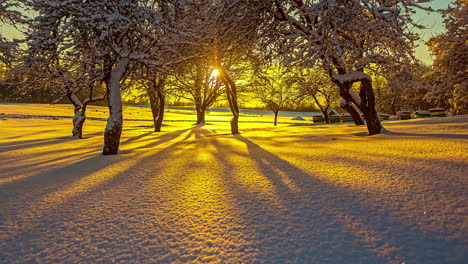 timelapse of beautiful golden sunset over snow covered forest floor